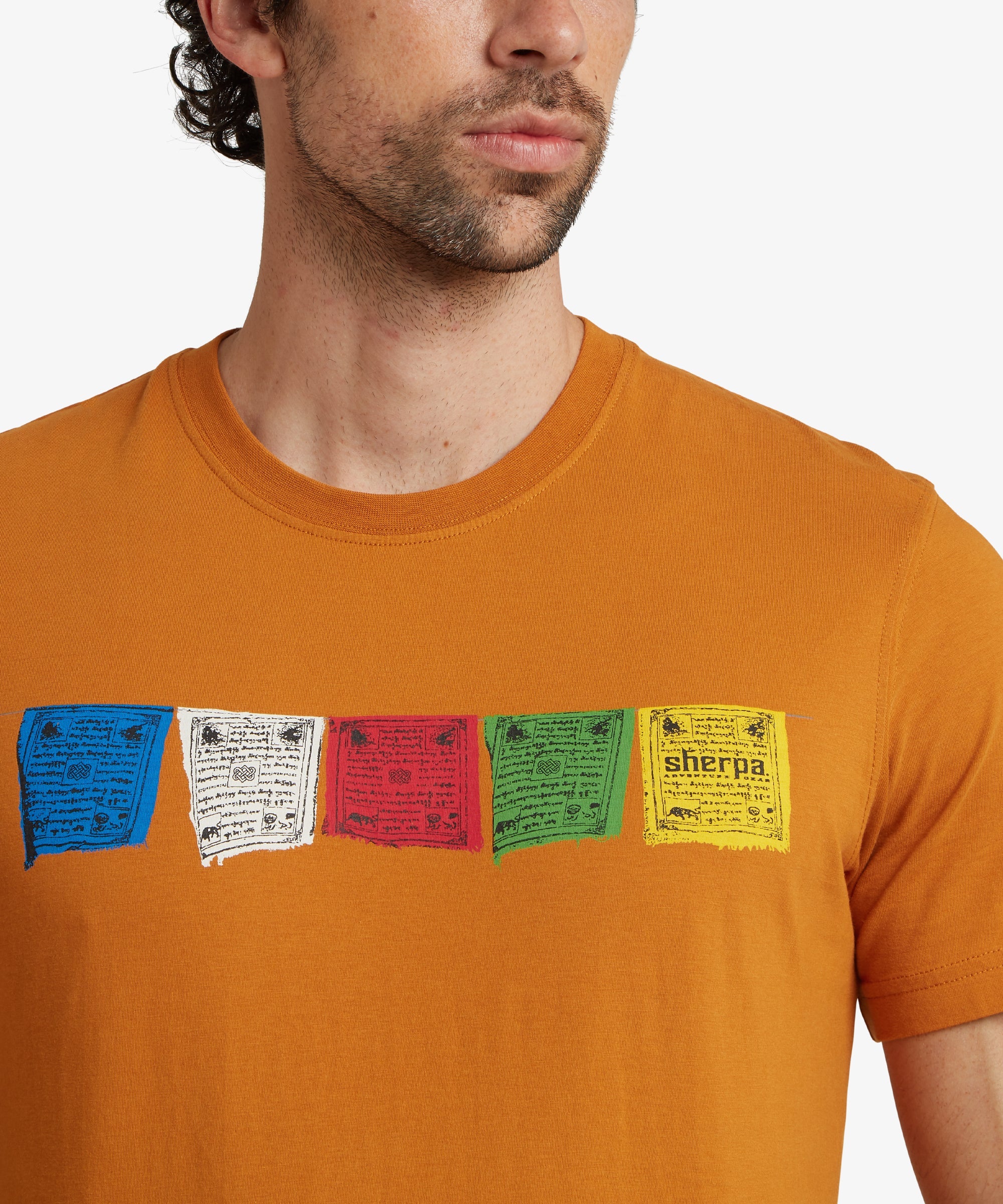Tarcho T-Shirt - Masala - Image 6